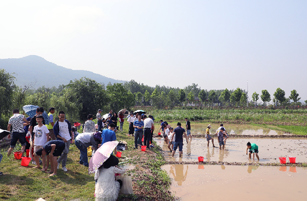 农耕研学基地