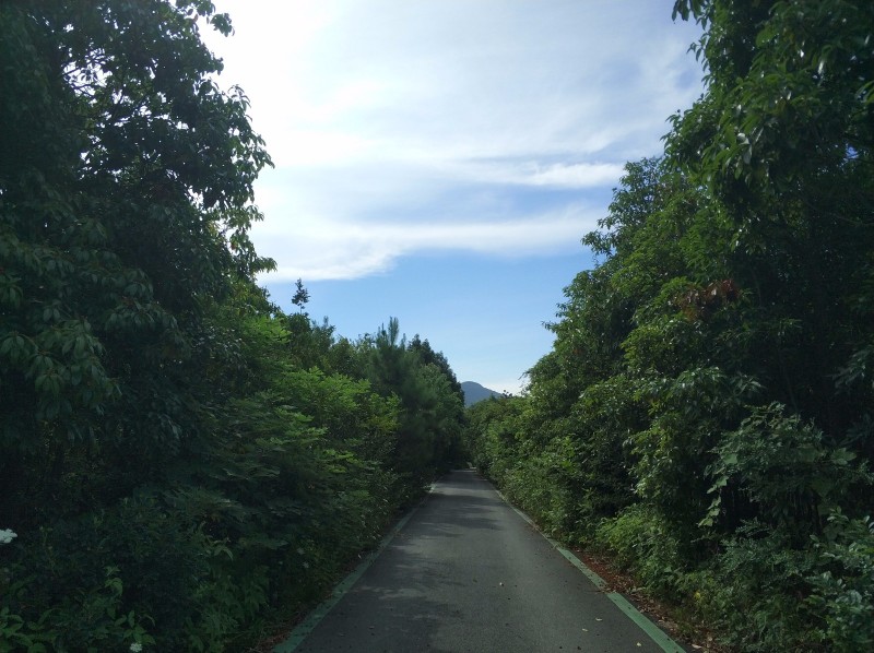 IMG_20180626_084336.jpg